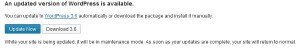 WordPressUpdate